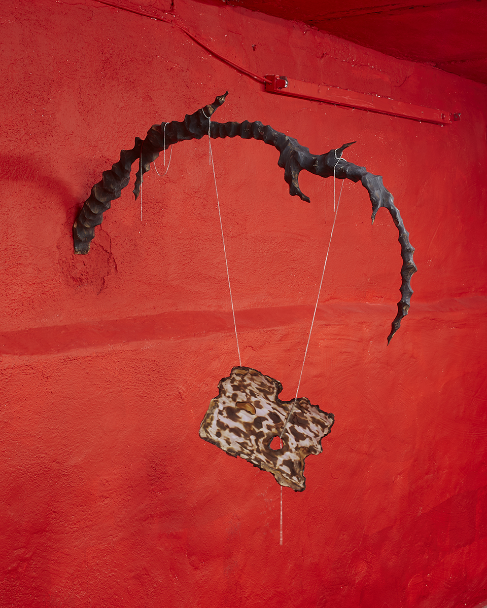 2020 07 Bild8005, Zurich — 02 Installation View Crave Cave By Jeronim Horvat — Jeronim Horvat